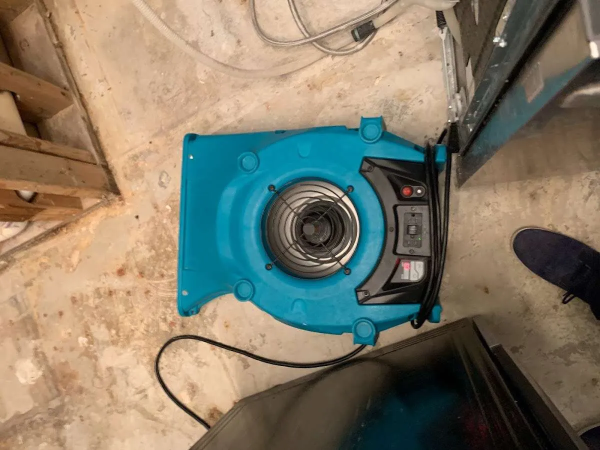 Air mover drying equipment for Mold Remediation & Removal in Rock Island